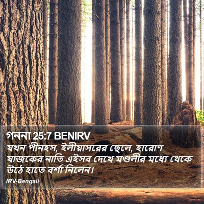 গননা 25:7 BENIRV Bible Verse Image