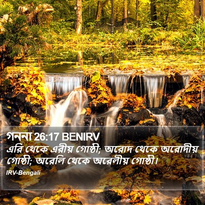 গননা 26:17 BENIRV Bible Verse Image