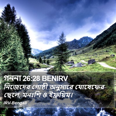 গননা 26:28 BENIRV Bible Verse Image