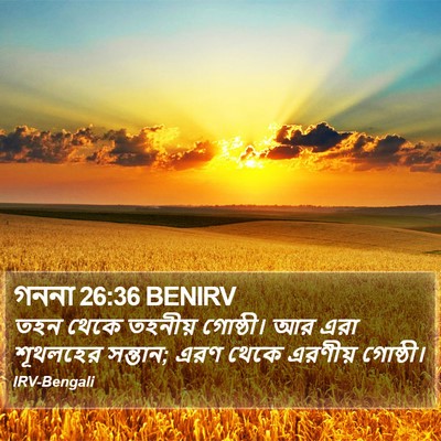 গননা 26:36 BENIRV Bible Verse Image