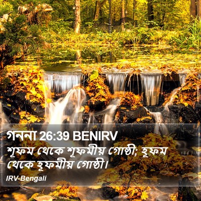 গননা 26:39 BENIRV Bible Verse Image