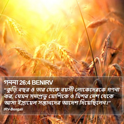 গননা 26:4 BENIRV Bible Verse Image
