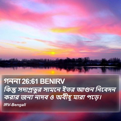 গননা 26:61 BENIRV Bible Verse Image
