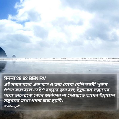 গননা 26:62 BENIRV Bible Verse Image