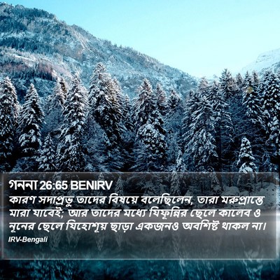 গননা 26:65 BENIRV Bible Verse Image