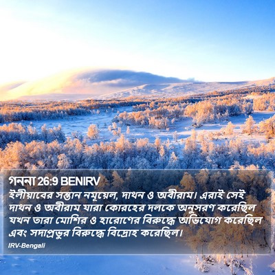 গননা 26:9 BENIRV Bible Verse Image