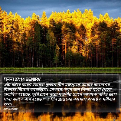 গননা 27:14 BENIRV Bible Verse Image