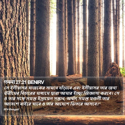 গননা 27:21 BENIRV Bible Verse Image