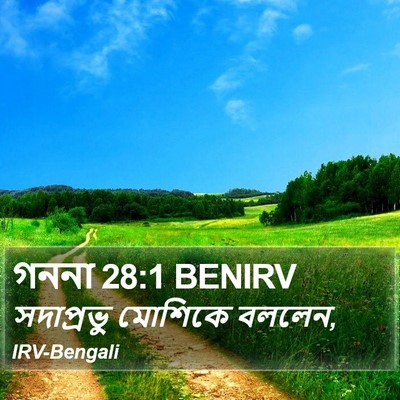 গননা 28:1 BENIRV Bible Verse Image
