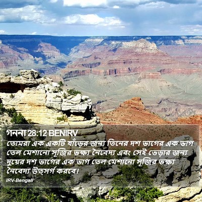 গননা 28:12 BENIRV Bible Verse Image