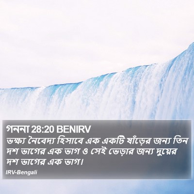 গননা 28:20 BENIRV Bible Verse Image