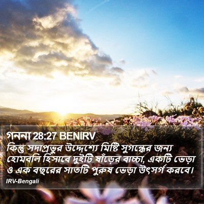 গননা 28:27 BENIRV Bible Verse Image