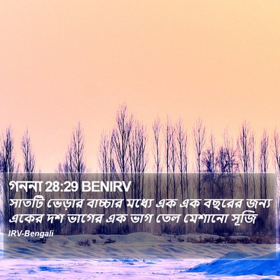 গননা 28:29 BENIRV Bible Verse Image