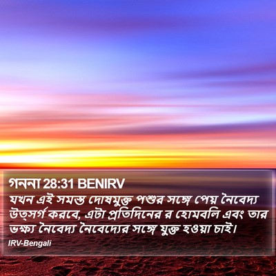 গননা 28:31 BENIRV Bible Verse Image