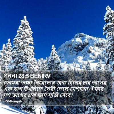 গননা 28:5 BENIRV Bible Verse Image