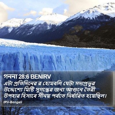 গননা 28:6 BENIRV Bible Verse Image