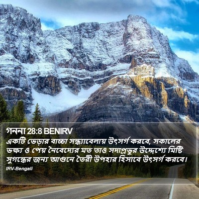 গননা 28:8 BENIRV Bible Verse Image