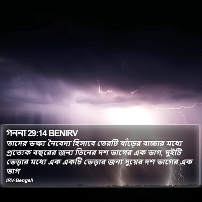 গননা 29:14 BENIRV Bible Verse Image