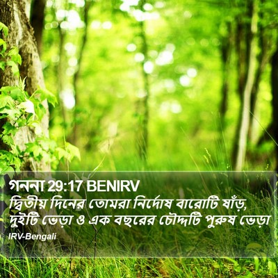 গননা 29:17 BENIRV Bible Verse Image
