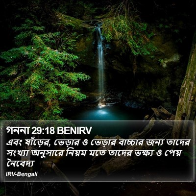 গননা 29:18 BENIRV Bible Verse Image