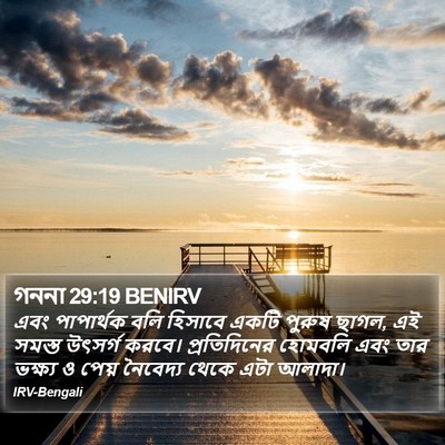 গননা 29:19 BENIRV Bible Verse Image