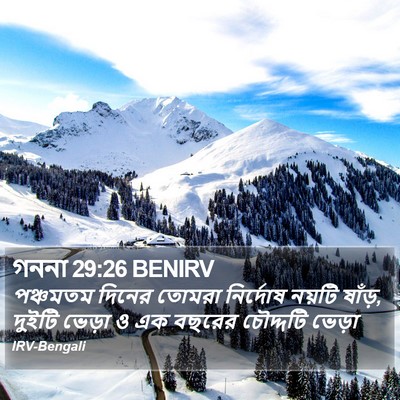 গননা 29:26 BENIRV Bible Verse Image