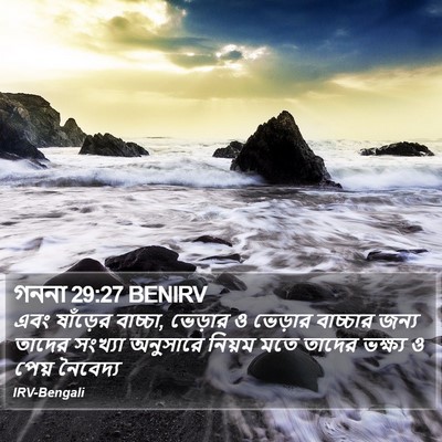 গননা 29:27 BENIRV Bible Verse Image