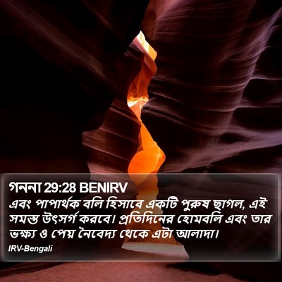 গননা 29:28 BENIRV Bible Verse Image