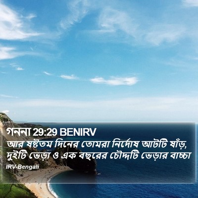 গননা 29:29 BENIRV Bible Verse Image