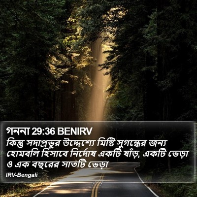 গননা 29:36 BENIRV Bible Verse Image