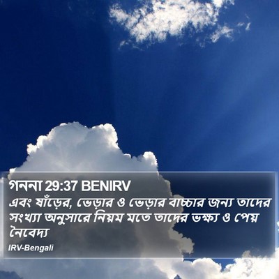 গননা 29:37 BENIRV Bible Verse Image