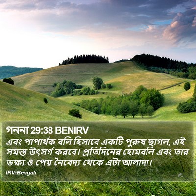 গননা 29:38 BENIRV Bible Verse Image