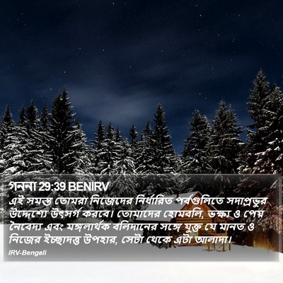 গননা 29:39 BENIRV Bible Verse Image