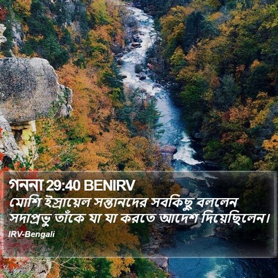 গননা 29:40 BENIRV Bible Verse Image