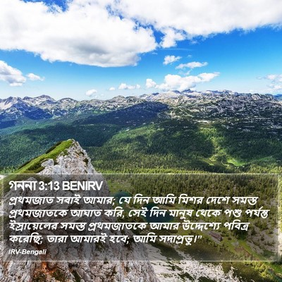গননা 3:13 BENIRV Bible Verse Image
