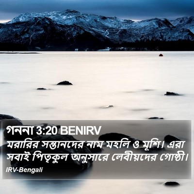 গননা 3:20 BENIRV Bible Verse Image