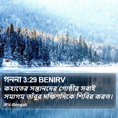 গননা 3:29 BENIRV Bible Verse Image