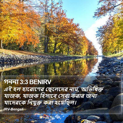 গননা 3:3 BENIRV Bible Verse Image