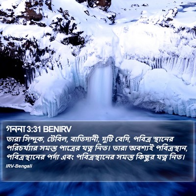 গননা 3:31 BENIRV Bible Verse Image