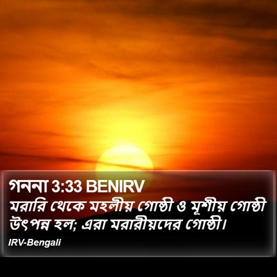 গননা 3:33 BENIRV Bible Verse Image