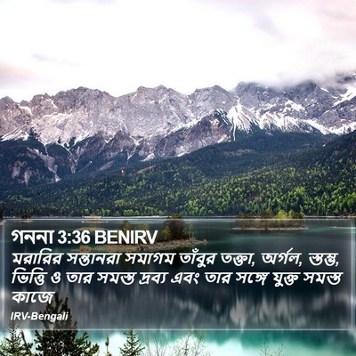 গননা 3:36 BENIRV Bible Verse Image