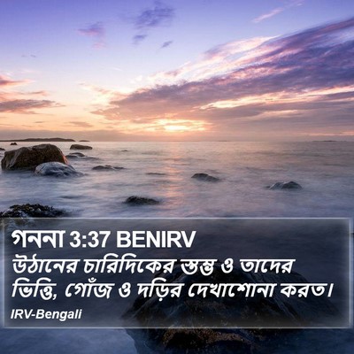 গননা 3:37 BENIRV Bible Verse Image
