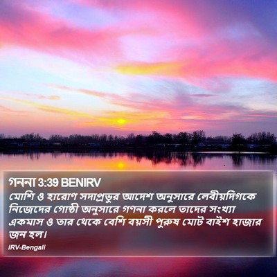 গননা 3:39 BENIRV Bible Verse Image