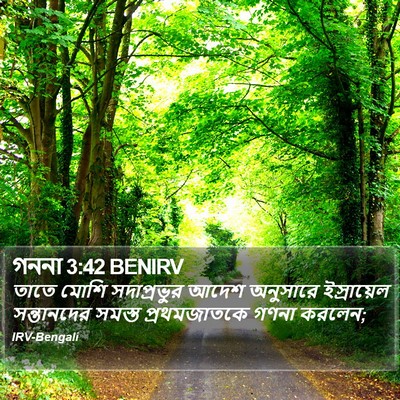 গননা 3:42 BENIRV Bible Verse Image