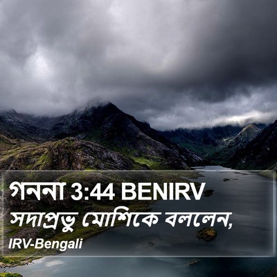 গননা 3:44 BENIRV Bible Verse Image