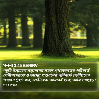 গননা 3:45 BENIRV Bible Verse Image