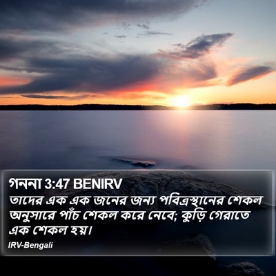 গননা 3:47 BENIRV Bible Verse Image