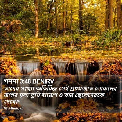 গননা 3:48 BENIRV Bible Verse Image