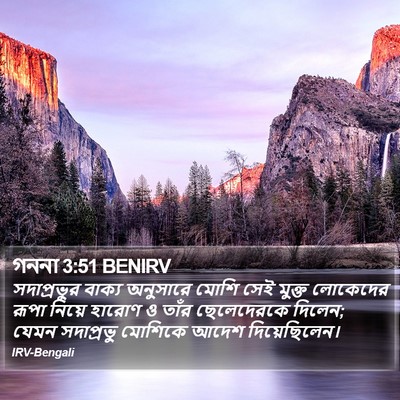 গননা 3:51 BENIRV Bible Verse Image