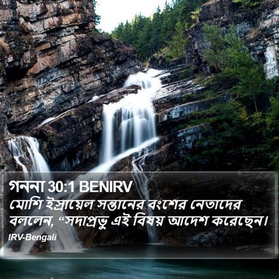 গননা 30:1 BENIRV Bible Verse Image